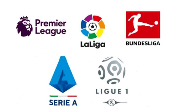 的完美平台 的完美平台